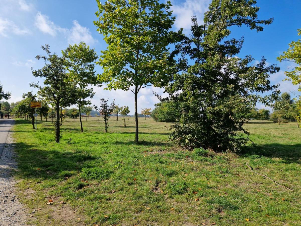 Heringsdorf - Moewe Luaran gambar